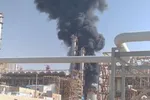 بازداشت ۷ موموی خطرناک ایرانی