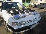 کشف بیش از ۱۰ کیلوگرم مواد روانگردان صنعتی در تهران