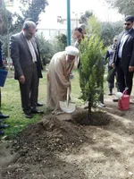 آتش، بیخ گوش تهران/۱۰۰ هکتار جنگل سوخت