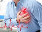 ۱۰ گزینه غذایی قلب را جوان نگه می‌دارند