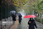 اعتراض نمکی به توزیع مرغ در میدان تره‌بار