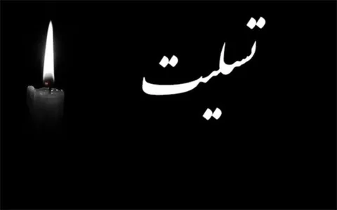 جامعه هنر عزادار شد