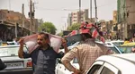 رنگ واقعی گل‌ها پس از تابش نور ماوراء بنفش +تصاویر