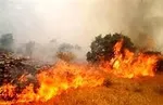 ساعات‌ شلوغی و خلوتی جاده‌ها ‌