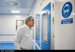 پشت‌پرده تحمیل «یاسی اشکی» به ماه‌عسل