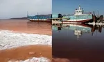 کاشت ۵ هزارهکتار برنج در اصفهان!