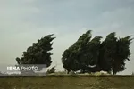 وزش باد شدید تا خیلی شدید در ۲۴ استان