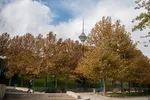 بوی نفس درباره سلامتیتان چه می‌گوید؟