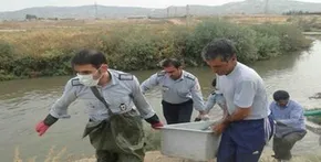 فیلم| لحظه سکته کردن آقای وزیر در گفت‌و‌گو تلویزیونی