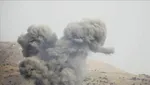 هیچ‌گونه هلی برنی در سلسله صورت نگرفته است