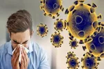 هشدار جدی | خطر آلودگی سبزیجات به مدفوع سگ و گربه