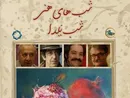 گوینده خبر مهمان «ایرانیش» می‌شود