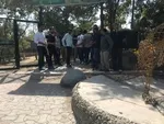 انتقاد از دخالت غیرتخصصی سلبریتی‌ها در ساماندهی حیوانات شهری