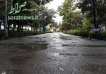 باران و رعدوبرق در ۷ استان کشور