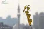 تبریز آلوده‌ترین شهر ایران