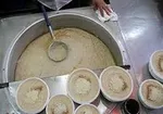 تبانی ۳ سازمان دولتی برای کشت پنبه تراریخته