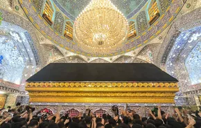 تصاویر| پیاده‌روی اربعین در طریق الحسین (ع)