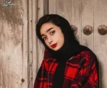 دستمزد ۴ میلیون تومانی برای هر بار سرقت!