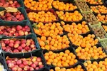 قیمت عجیب خیار و کاهو در بازار