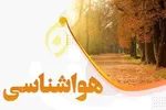 علت تلف شدن نهنگ‌ها در سواحل خلیج فارس چیست؟