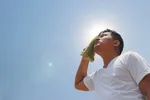 کدام گروه از کارگران مشمول قانون کار می‌شوند؟