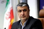 دسترسی به افراد در مراکز هسته‌ای ایران صحت ندارد