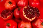 رهایی از ناتوانی سالمندی با افزایش سرعت راه رفتن