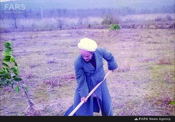 علامه جعفری هنگام باغبانی