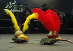 انداختن نوزاد روی زغال داغ برای اجرای مراسم مذهبی