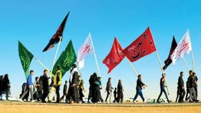 فیلم/ زائر افغانستانی در مورد اربعین حسینی می‌گوید