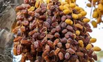 عرضه خرمای تنظیم بازاری از امروز/خرما کیلویی ۷۱ هزار و ۴۰۰ تومان