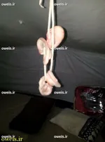بمبی که روسیه بر سر داعش می ریزد +عکس
