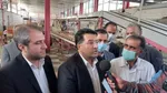 تابش: با هرگونه تغییر قیمت کالا‌های اساسی برخورد می‌شود