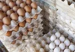 عرضه تخم‌مرغ در بازار پایین‌تر از نرخ مصوب