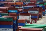مصباحی‌مقدم: بسیاری از کالا‌های وارداتی به دلار ارتباطی ندارد