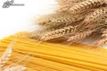 ۳۱۲ تن آرد و گندم و ۲۹۰ تن‌ روغن احتکار شده کشف شد