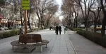 جزئیاتی از درآمدهای دولت از سهمیه‌ بندی بنزین