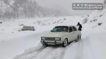 رگبار باران در برخی نقاط کشور| وزش باد شدید در بیشتر استان‌ها