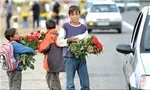 مدرک‌تحصیلی شهرداران تهران/شهردار منطقه3 دندانپزشک!