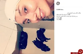 تصاویر/واکنش هنرمندان به درگذشت کیارستمی