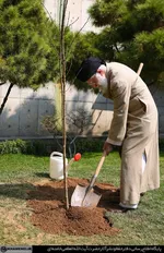عکس/ سبد میوه ۳۰۰ هزار تومانی در یک فروشگاه تهران