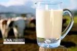 قیمت طلا، دلار، یورو، سکه و ارز امروز ۹۹/۰۸/۰۸