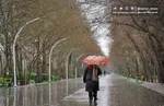 بارش و رعد و برق در شمال و جنوب کشور