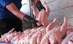 نرخ ارزهای دولتی ۹۷/۰۶/۲۴| یورو ۲ تومان ارزان شد