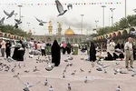 حضور ۴۷ هزار حاجی ایرانی در سرزمین وحی