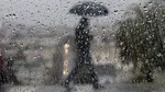 وزش باد شدید و گردوخاک ۵ روزه