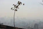 آلودگی هوا بی خیال پایتخت نمی‌شود!