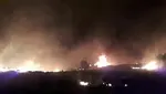 کلاه‌گیسی که قاتل را لو داد