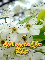 آداب خواب بر اساس روایات اهل‌بیت (ع)