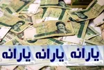 شرط مهم وزارت رفاه برای فعال‌سازی مجدد کالابرگ| جاماندگان تا پایان شهریور فرصت دارند